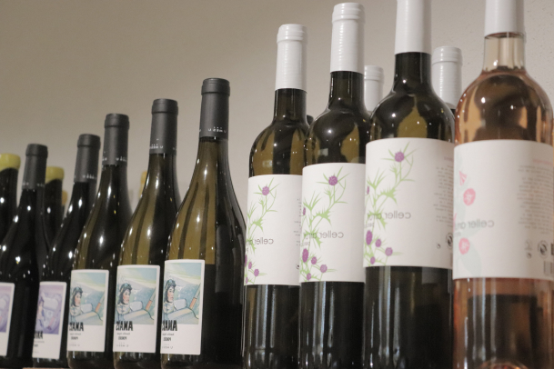 SECTION1_VINO_LDCW